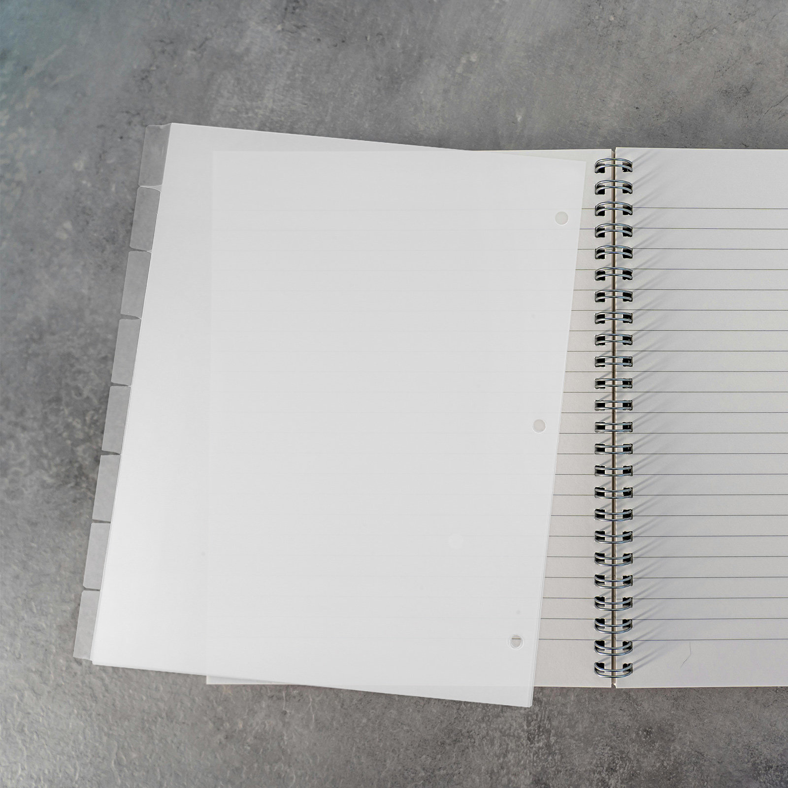 Index Tab Divider - 8枚入りインデックスディバイダー、丈夫なプラスチック製、取り外し可能なカラータブ付きバインダーシート、迅速な書類整理用インデックスディバイダー