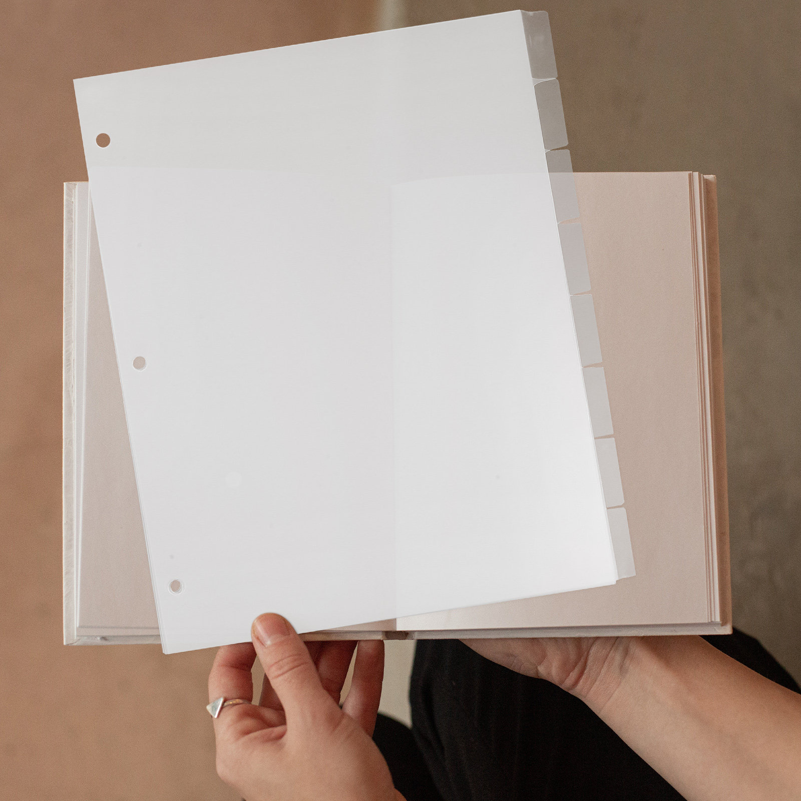 8枚入りインデックスディバイダー 丈夫なプラスチック製 取り - Index Tab Divider のレビューと価格