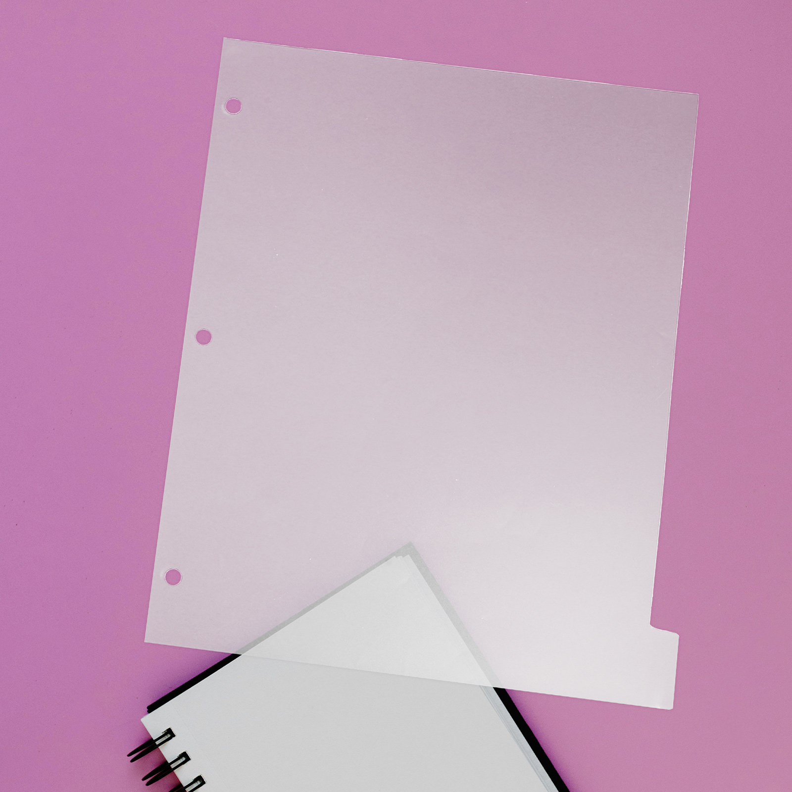 8枚入りインデックスディバイダー、丈夫なプラスチック製、取り - Index Tab Divider のレビューと価格